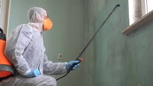 Best Basement Mold Removal  in Leisure Village, NJ