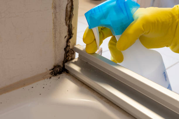 Best Mold Removal for HVAC Installations  in Leisure Village, NJ