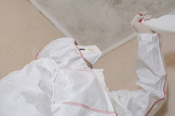 Best Mold Odor Removal Services  in Leisure Village, NJ