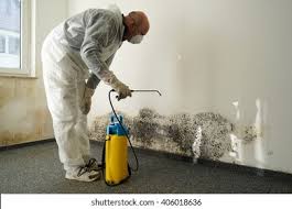 Best Mold Prevention Services  in Leisure Village, NJ